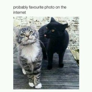 Meet your Posher, Kristine